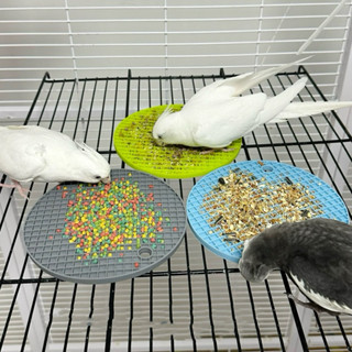 D-54 ถาดรองอาหารนก ซิลิโคน ป้องกันอาหารนกกระจาย นกกินด้วย เล…