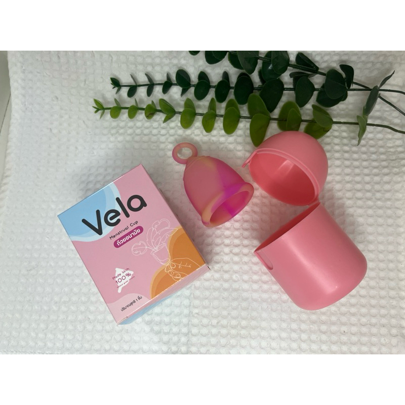 เช็ทถ้วยอนามัย+กล่องต้ม Vela Ring Cup