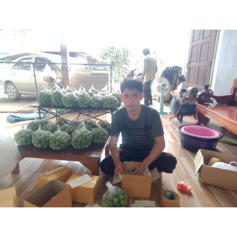 0.5กิโลกรัม....100...บาท..