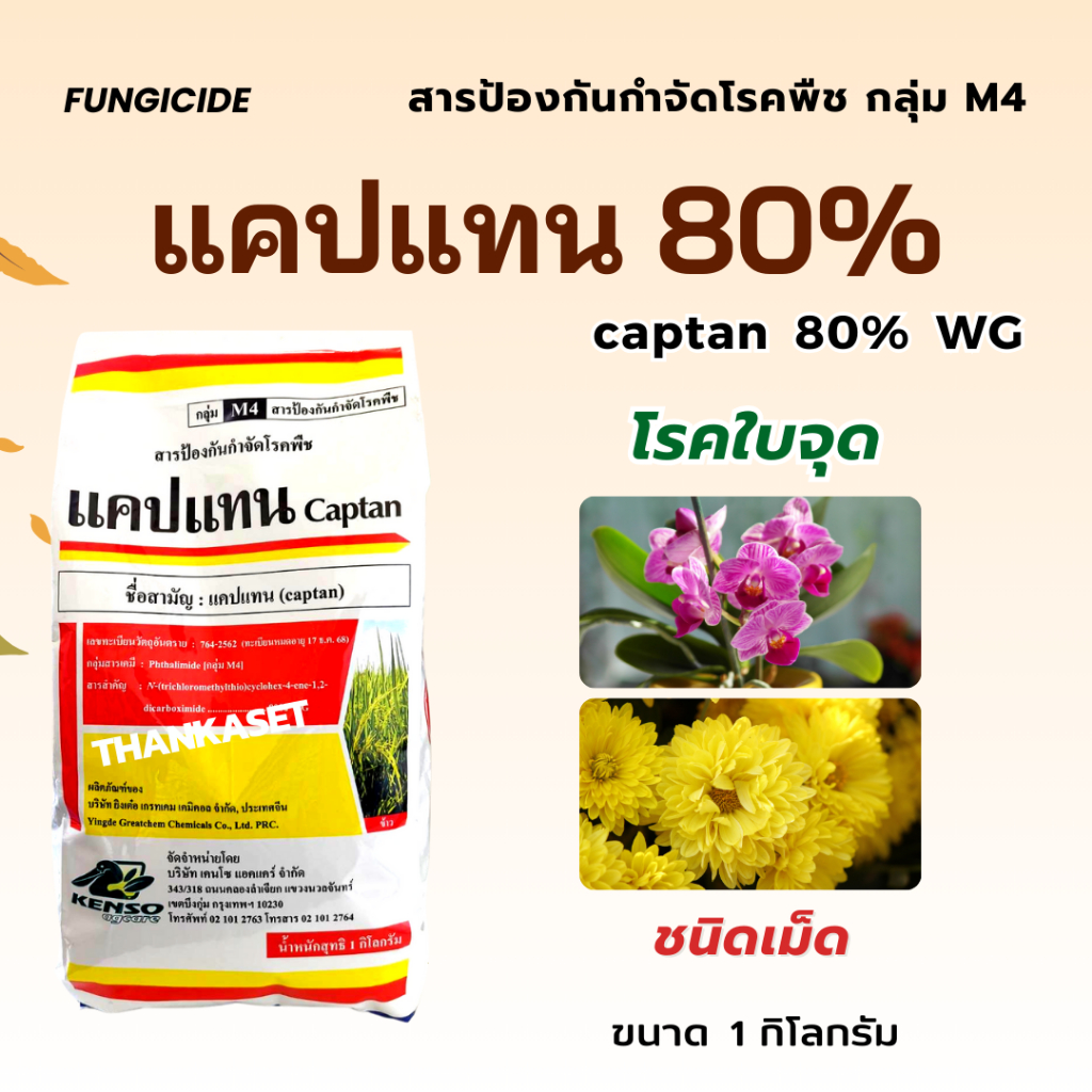 แคปแทน 80% WG captan ชนิดเม็ด ป้องกันและกำจัดเชื้อรา โรคใบจุด ขนาด 1 กิโลกรัม กล้วยไม้