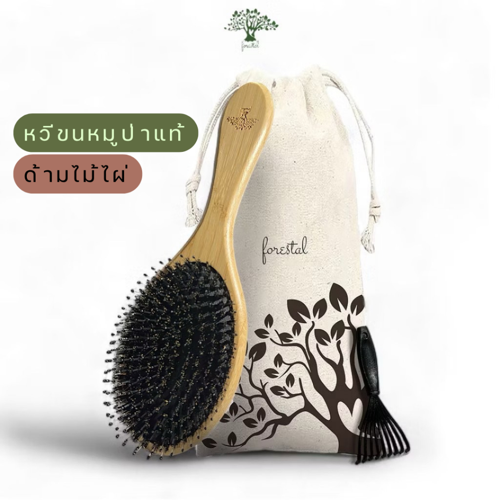 💟ของแท้ | ส่งเร็ว💟 หวีขนหมูป่า ด้ามไม้ไผ่ ผมนุ่ม เรียบ Forestal Boar Bristle hair brush (Bamboo)