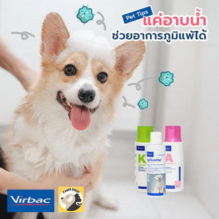 Virbac Allermyl แชมพู สำหรับสุนัขและแมว ขนาด 250 ml