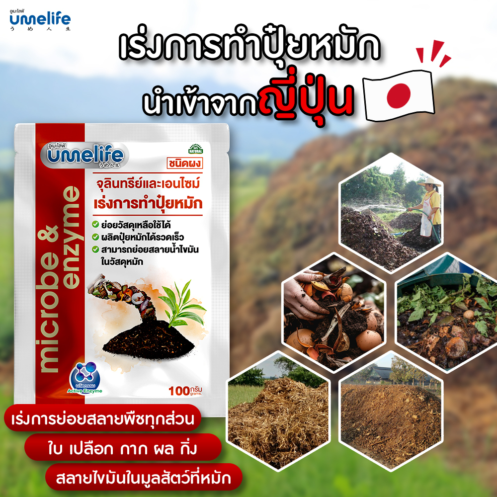 อูเมะไลฟ์ สารเร่ง 1 ขนาด 100 กรัม ช่วยเร่งการทำปุ๋ยหมัก ย่อยสลายไขมันในปุ๋ยหมัก ช่วยให้ปุ๋ยหมักร่วนซุย ลดความร้อนในปุ๋ย