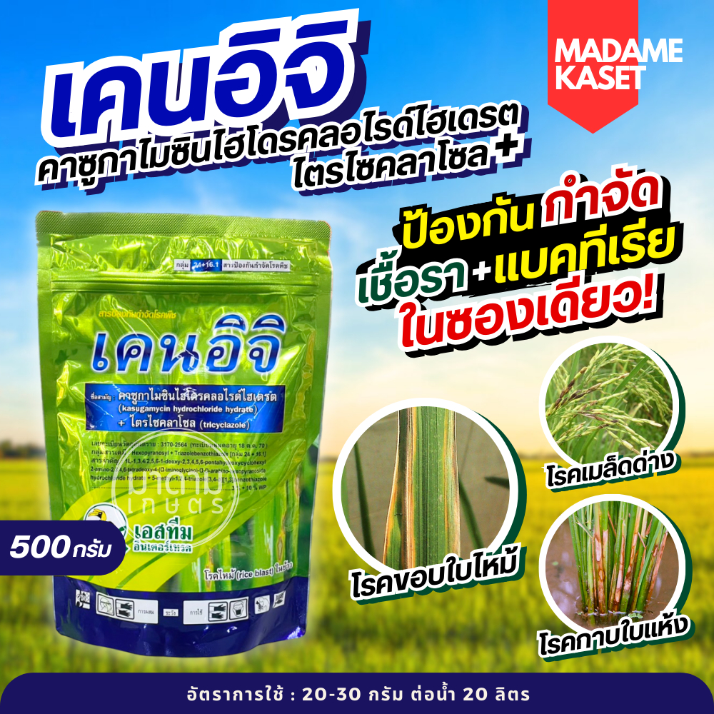 เคนอิจิ (คาซูกาไมซินไฮโดรคลอไรด์ไฮเดรต+ไตรไซคลาโซล) กำจัดโรคใบไหม้ กาบใบแห้ง ใบจุด ขอบใบแห้ง