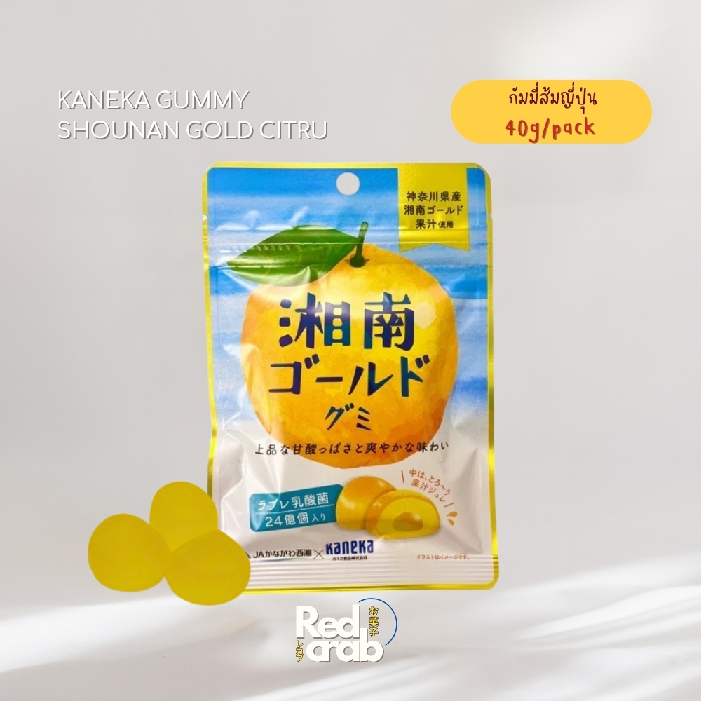 Kaneka Gummy Shounan Gold Citrus กัมมี่ส้มญี่ปุ่น 40g. (2025/06/10) KANEKA SHONAN GOLD CITRUS GUMMY