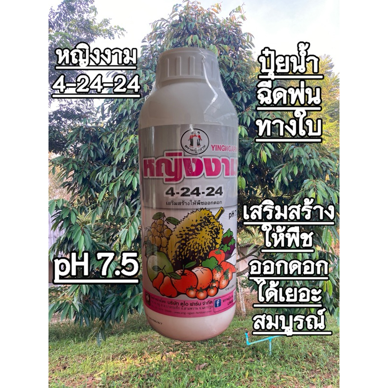 ปุ๋ยน้ำหญิงงาม 4-24-24 เสริมสร้างให้พืชออกดอก ขนาด 1 ลิตร
