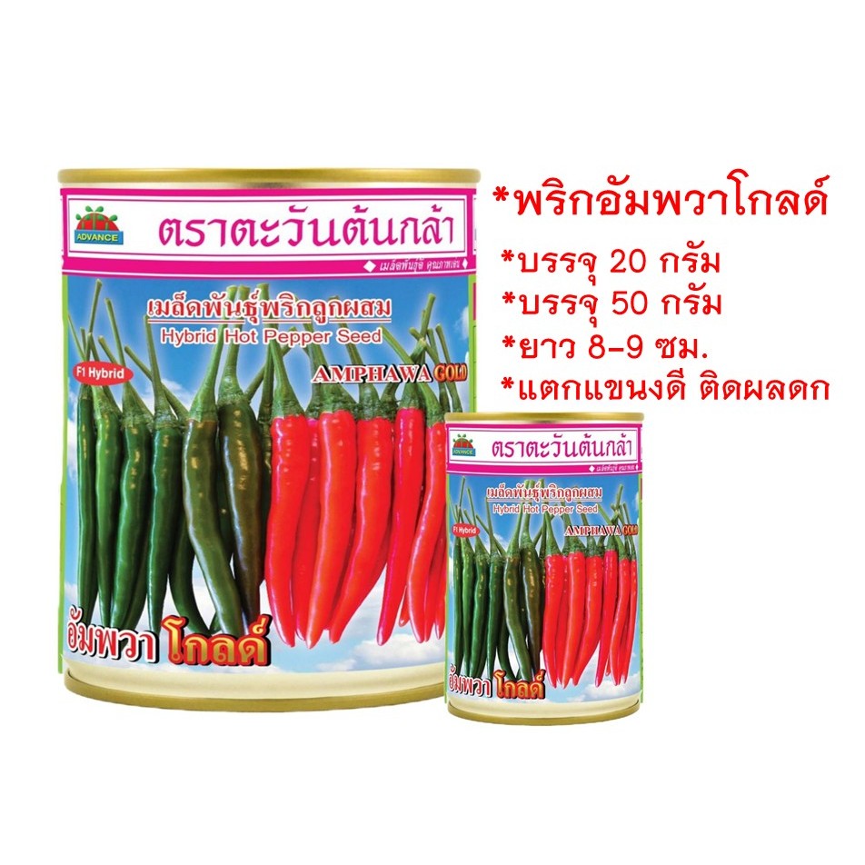 เมล็ดพันธุ์พริกอัมพวาโกลด์ ตราตะวันต้นกล้า บรรจุ 20 กรัม และ 50 กรัม