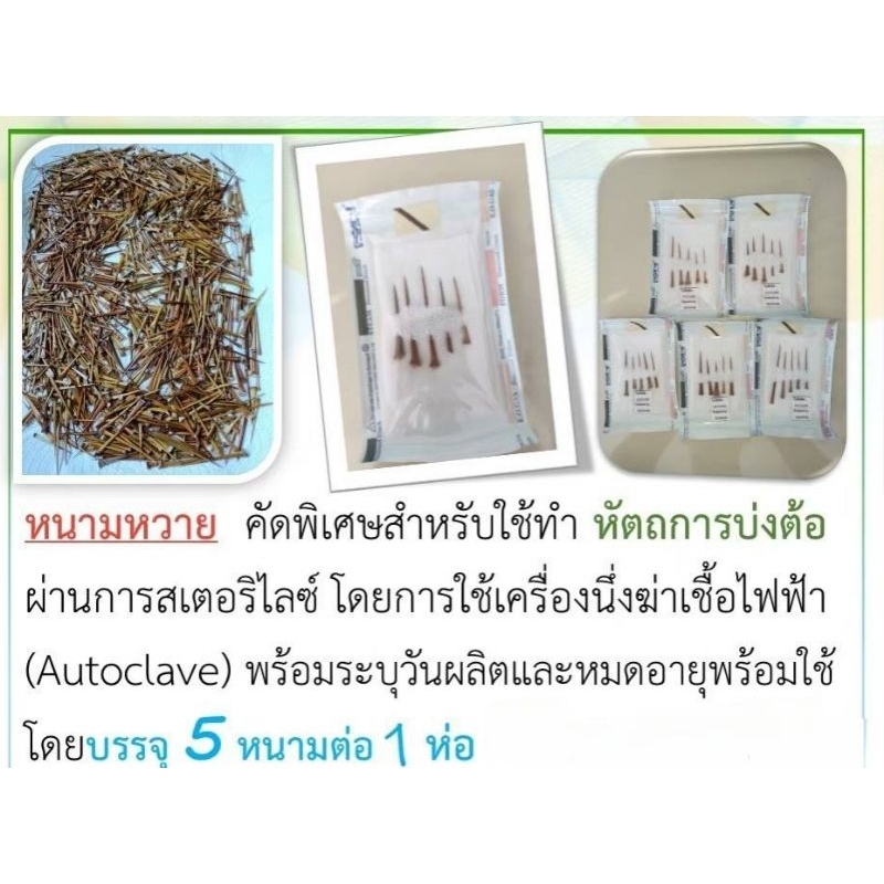 หนามหวายขมบ่งต้อ Sterile 10 ห่อ