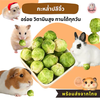 [Hamsterth]อาหารเสริม กะหล่ำปลี Freeze-Dried สำหรับสัตว์เล็ก แฮมสเตอร์ เม่นแคระ ชูก้า ดอร์เม้าส์