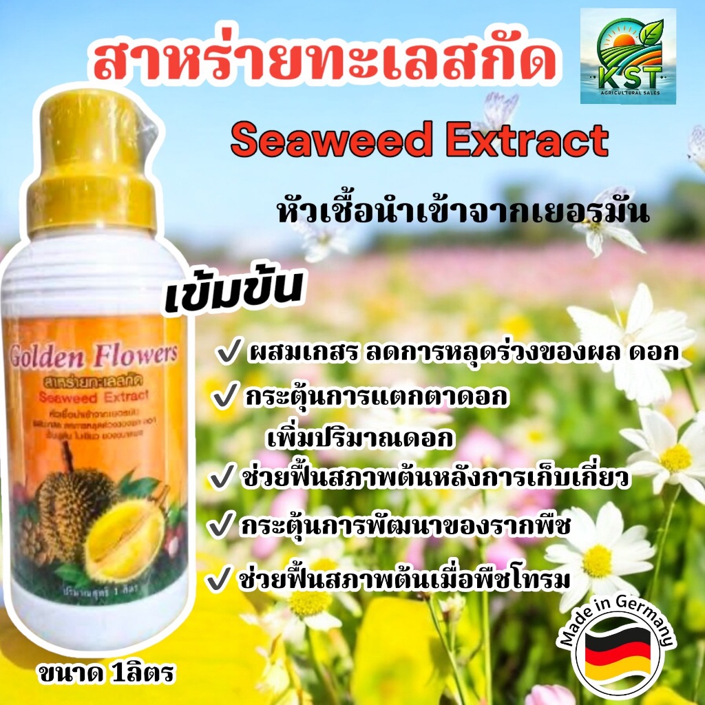 สาหร่ายทะเลสกัด(Seeweed Extract)1ลิตร ฮอร์โมนพืช สารสกัดธรรมชาติจากสาหร่าย ส่งเสริมการดอกติดผล ฟื้นสภาพต้นหลังเก็บเกียว