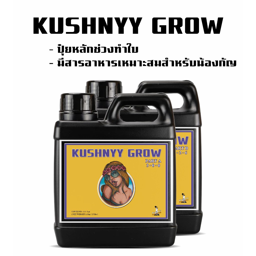 KUSHNYY GROW ปุ๋ยหลักทำใบ ปุ๋ยน้อนกัญตัวโคลน “AN Sensi”