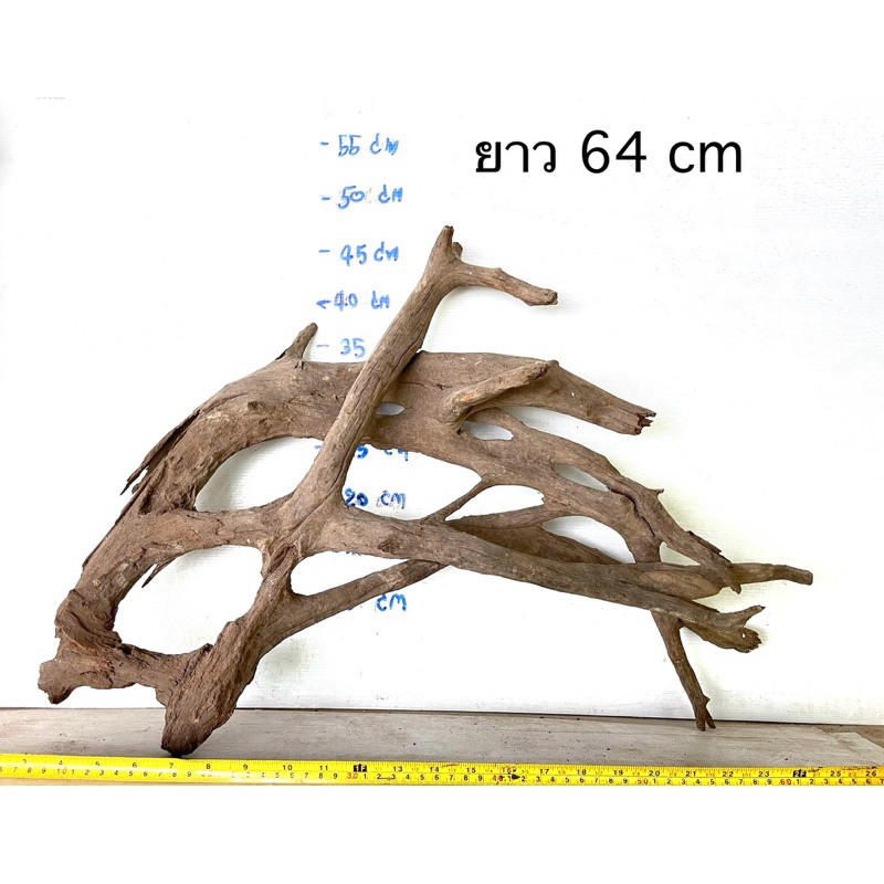 รากไม้แต่งตู้ปลา driftwood ขอน ตอ บ้านและ สวน diy