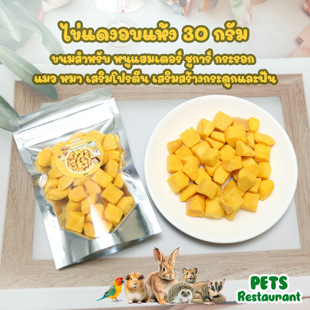 ไข่แดงอบแห้ง 30 กรัม ขนมสำหรับ หนูแฮมเตอร์ ชูการ์ กระรอก แมว หมา เสริมโปรตีน เสริมสร้างกระดูกและฟัน
