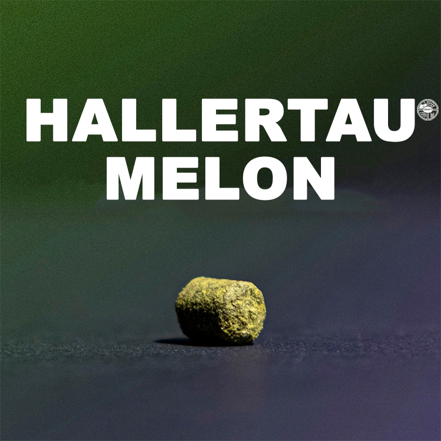 ฮอป ทำเบียร์ Hallertau Melon Hops T90 แบรนด์ Haas (57g. , 28g.)