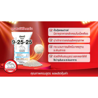 (ของแท้100%) ปุ๋ยตรากระต่าย สูตร 9-25-25 แบ่งขาย 1 กิโลกรัม