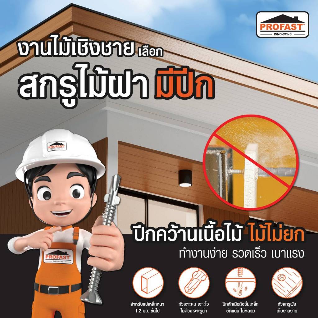 สกรูปลายสว่านมีปีก ยึดไม้ฝา ไม้ระแนง โปรฟาส์ท (บรรจุถุงละ 100 ตัว)