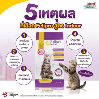 [ ใหม่ 1 กก ถุงซิป ] Felipro อาหารแมว 1 kg. เพื่อสุขภาพที่ดีของน้อง