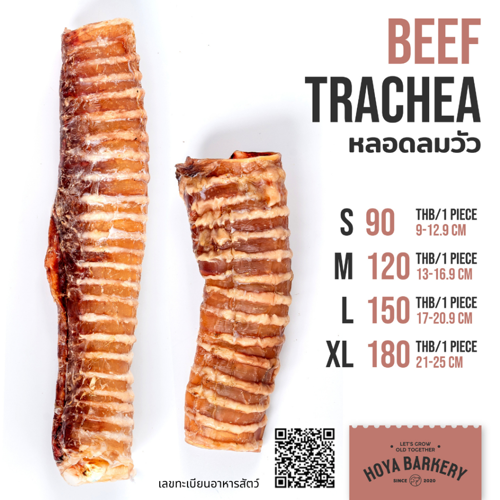 cow trachea หลอดลมวัว Hoya Barkery