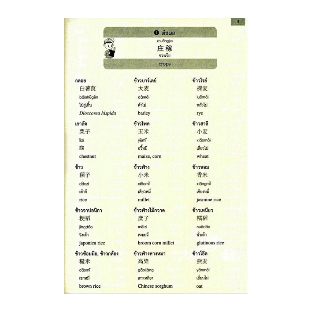 สำนักพิมพ์ เช็ก หนังสือ 4,000  คำศัพท์ใช้บ่อย 3 ภาษา ไทย- จีนกลาง-อังกฤษ - รูปที่ 4