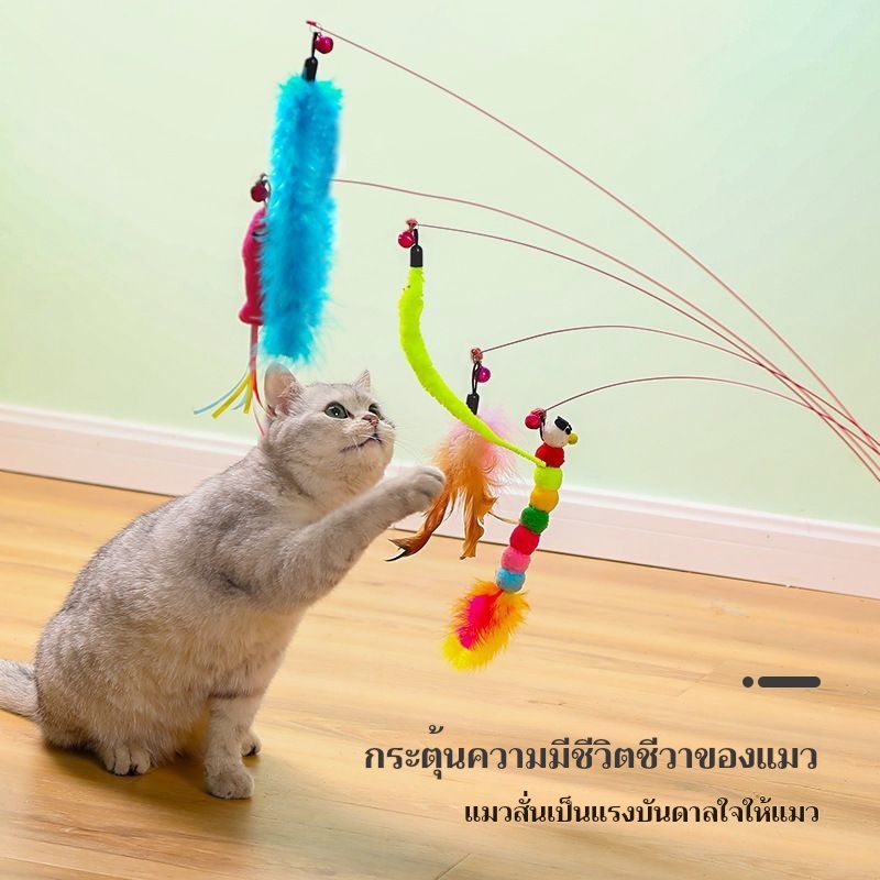 🎣 ไม้ล่อแมวสปริงสุดสนุก 🐾 พร้อมขนนกน่าดึงดูด ของเล่นแมวสุดฮิต เพิ่มความสุขให้เจ้าเหมียวทุกวัน! 🐱✨