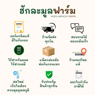 เกลือชมพู หิมาลัย ชนิดละเอียด ขนาด500กรัม เกลือชมพูหิมาลายัน เกลือหิมาลัย เกลือธรรมชาติ รักษามะเร็ง Himalayan Pink Salt