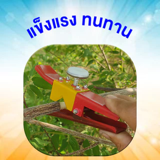 คีมตอนกิ่ง 3in1 ที่ตอนกิ่ง คีมตอนกิ่งไม้ กรรไกรตอนกิ่ง ตอนกิ่ง ตอนกิ่งไม้