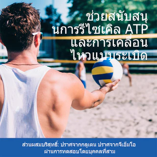 Omilay Creatine for Men and Women ครีเอทีน Creatine Monohydrate Powder ไมโครไนซ์ ครีเอทีน Chocolate Flavor 300 กรัม
