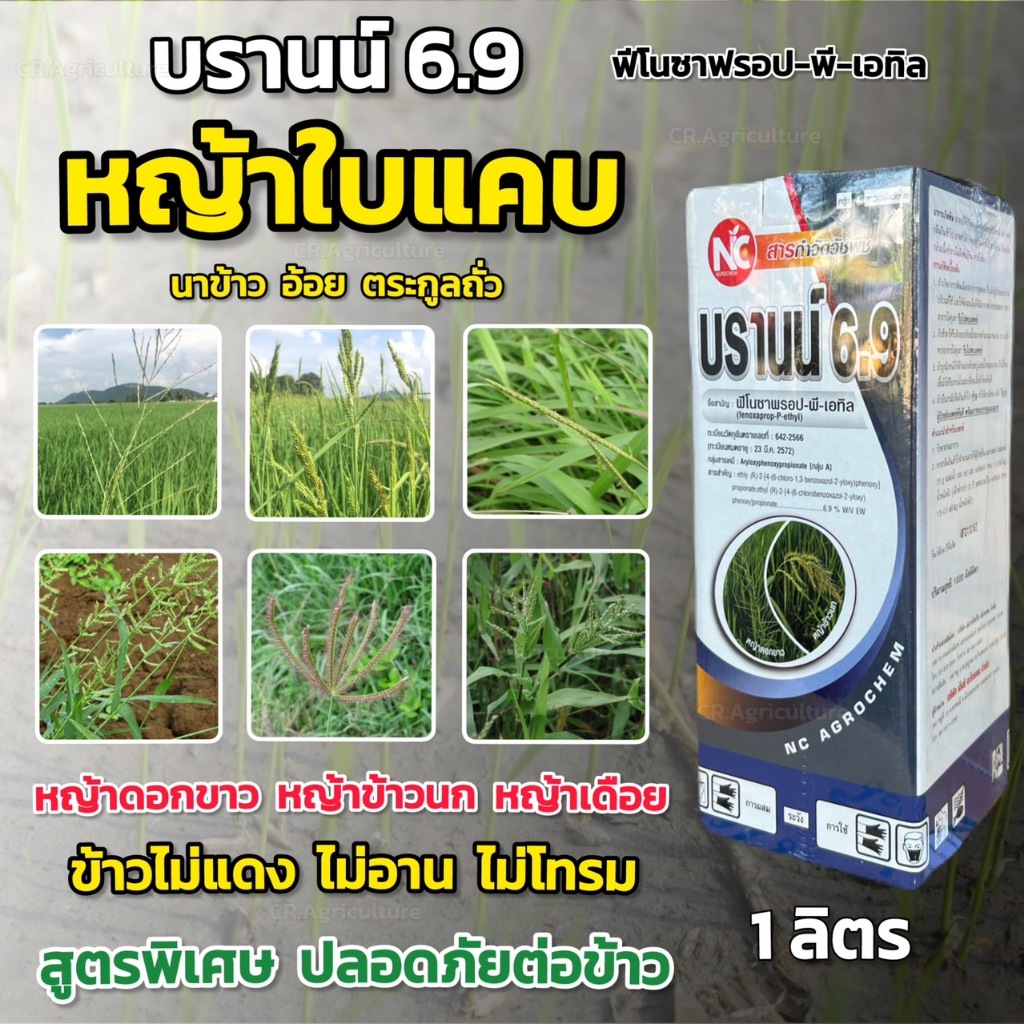 ฟีโนซาพรอป-พี-เอทิล  บรานน์ 6.9  (สูตรข้าวไม่แดง) ยาฆ่าหญ้าในนาข้าว เก็บหญ้าในนาข้าว หญ้าดอกขาว หญ้าข้าวนก หญ้าแดง ตราNC