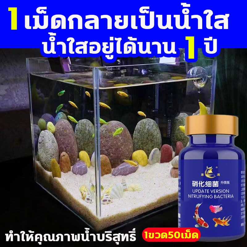 จุลินทรีบ่อปลา น้ำยาปรับสภาพน้ำ จุลินทรีย์ปรับสภาพน้ำใส กรองบ่อปลา น้ําใส ยาปลา ล้างตู้ปลา