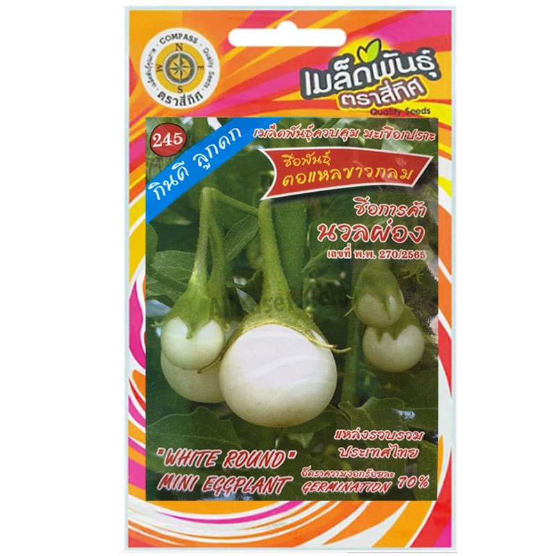 เมล็ดพันธุ์ มะเขือตอแหลขาวกลม นวลผ่อง ตราสี่ทิศ