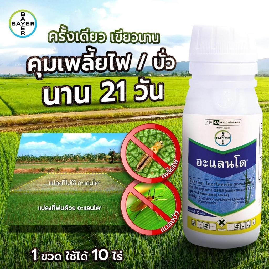 อะแลนโต ไทอะโคลพริด ขนาด 100 cc #ป้องกันแมลงปากดูด เพลี้ยไฟ เพลี้ยแป้ง แมลงบั่ว แมลงหวี่ขาว