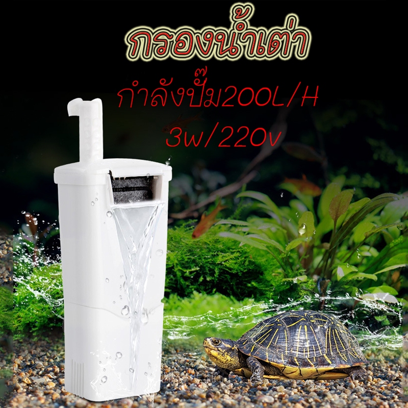 กรองน้ำเต่า กรองตู้ปลาน้ำตื้น เครื่องกรองน้ำ เครื่องกรองน้ำตู้เต่า