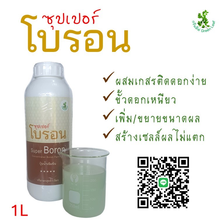 ซุปเปอร์ โบรอน (SB1) ขวด 1 ลิตร ช่วยผสมเกสร ขั้วดอกขั้วผลเหนียว ดก ขยายผล เพิ่มน้ำหนัก สร้างเซลล์ลดผลแตก