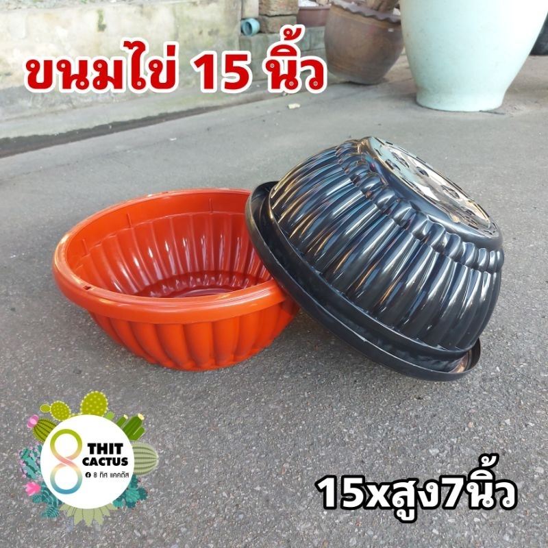 กระถาง กลมขนมไข่ 15xสูง7 นิ้ว // แคคตัส พลาสติก เกษตร แบบใหญ่