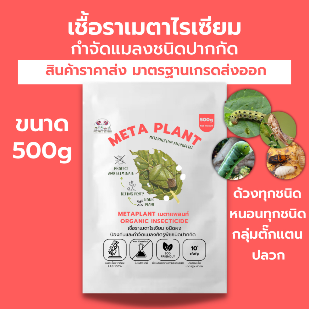 เมธาไรเซียม 500g กำจัดแมลงศัตรูพืช ออร์แกนิคแท้ เพาะเชื้อในห้องLAB100% ปลอดภัยต่อผู้ใช้และสัตว์เลี้ยง