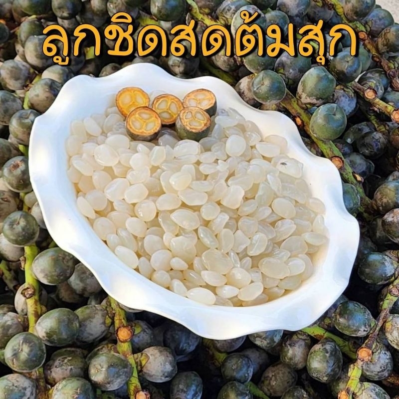 ลูกชิดสด ต้มสุก (ลูกชิดยายนวล) พร้อมทาน รสธรรมชาติรสจืด(คีโตทานได้) ไม่เติมแต่ง