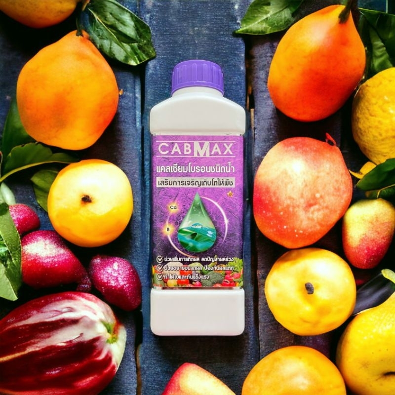 1 แถม 1 CABMAX + CABMAX (อาหารบำรุงพืช) - รูปที่ 6
