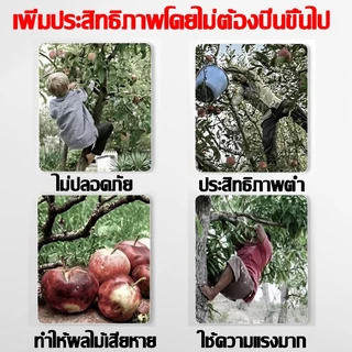 ทดลองใช้ฟรี 7 วัน【ตัด หนีบ เลื่อยได้3in1】1.5~5M กรรไกรตัดกิ่งไม้สูง กรรไกรตัดหนีบผลไม้ด้ามยาว กรรไกรเก็บผลไม้