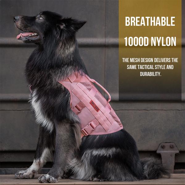 OneTigris เสื้อรัดอกสุนัข AIRE Mesh Dog Harness  ชุดฝึกสุนัข ชุดสุนัขทหาร สายรัดอกสุนัข เสื้อสุนัข - รูปที่ 4