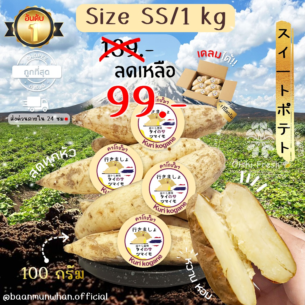 Oishi-Fresh มันหวานญี่ปุ่น 🍠ไซต์ Snack 🍠🇹🇭ปลูกไทย🇹🇭 คุริโคกาเนะ แบบดิบเนื้อ ครีม อ่อน หวานออรแกนิค 1 กก. สินค้าเคลมได้