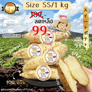 Oishi-Fresh มันหวานญี่ปุ่น 🍠ไซต์ Snack 🍠🇹🇭ปลูกไทย🇹🇭 คุริโคกาเนะ แบบดิบเนื้อ ครีม อ่อน หวานออรแกนิค 1 กก. สินค้าเคลมได้