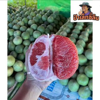 ส้มโอทับทิมสยามปากพนัง ( 1ลูก ) จากสวนป้าเล็กขี้ลืม