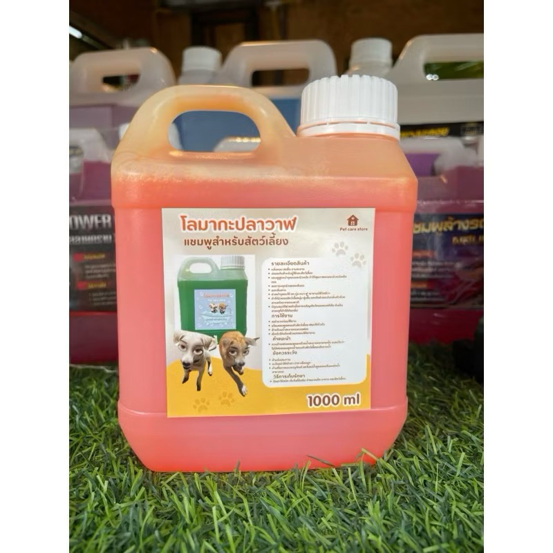 รูปภาพ 7