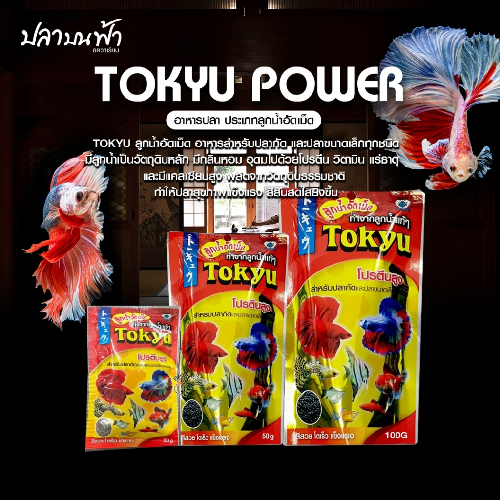 (พร้อมส่งทุกวัน) อาหารปลา Tokyu ลูกน้ำแท้อัดเม็ด โปรตีนสูง สำหรับปลากัด และ ปลาขนาดเล็กทุกชนิด เร่งสี เร่งโต ได้อย่างดี