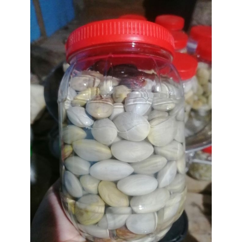 สตอดองไต้900กรัมปุกใหญ่​ เปรี้ยว​ เค็มน้อยกรอบอร่อยมาก‼️‼️