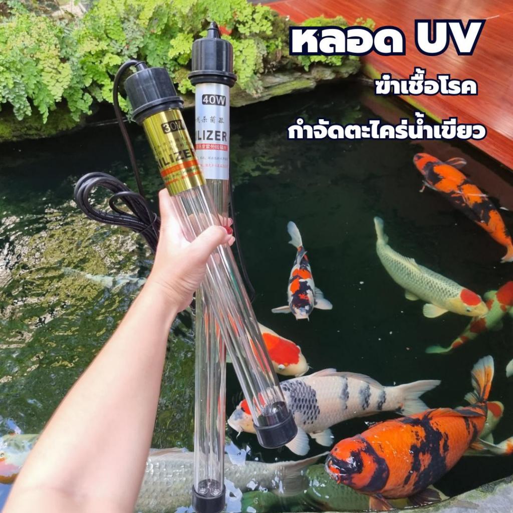 หลอด UV บ่อปลา ตู้ปลา Bonetar🪄🌞🐟