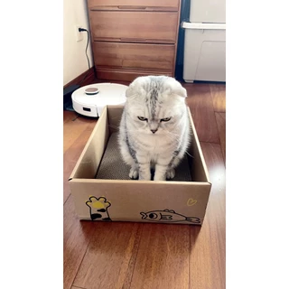 📦ที่ลับเล็บแมว คอนโดแมว บ้านแมว บ้านลังกระดาษแมว ที่ลับเล็บแมว ทีฝนเล็บแมว ของใช้แมว กล่องแมว ของเล่นแมว ที่นอนแมว แมว