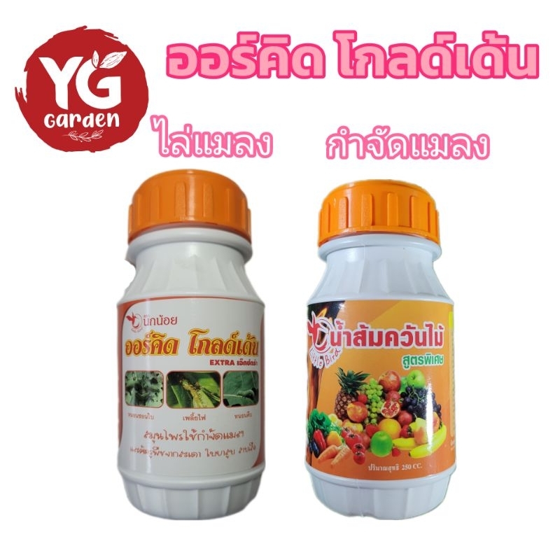 ออร์คิด โกลด์เด้น นกน้อย ขนาด 250 ซีซี