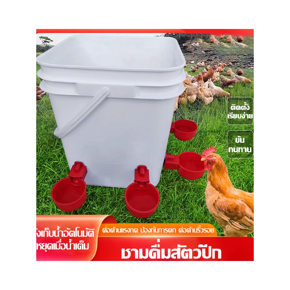 (COD) ถ้วยน้ำไก่ลูกลอยอัตโนมัติ แพ็ค6/12/18/24 สำหรับไก่ เป็ด นก ต่อถังน้ำง่าย เติมเอง น้ำเต็มตัด ลดน้ำเสีย ประหยัดแรงดี