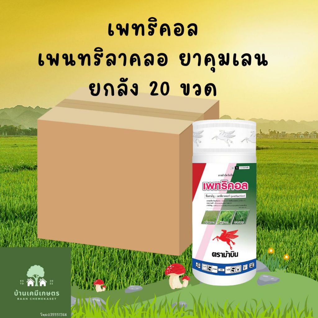เพทริคอล เพรทิลาคอลร์ คุมเลน  1ลิตร ยกลัง 20 ขวด